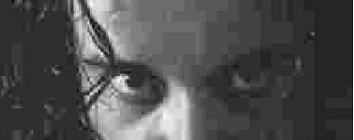 mirada del ligre.JPG